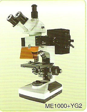 ME1000落射型荧光显微镜